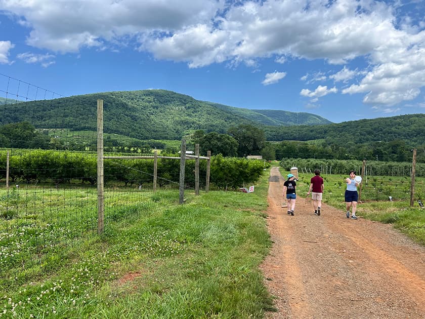 Three people walk along a dirt path in a lush, green landscape with mountains and blue sky in the background.