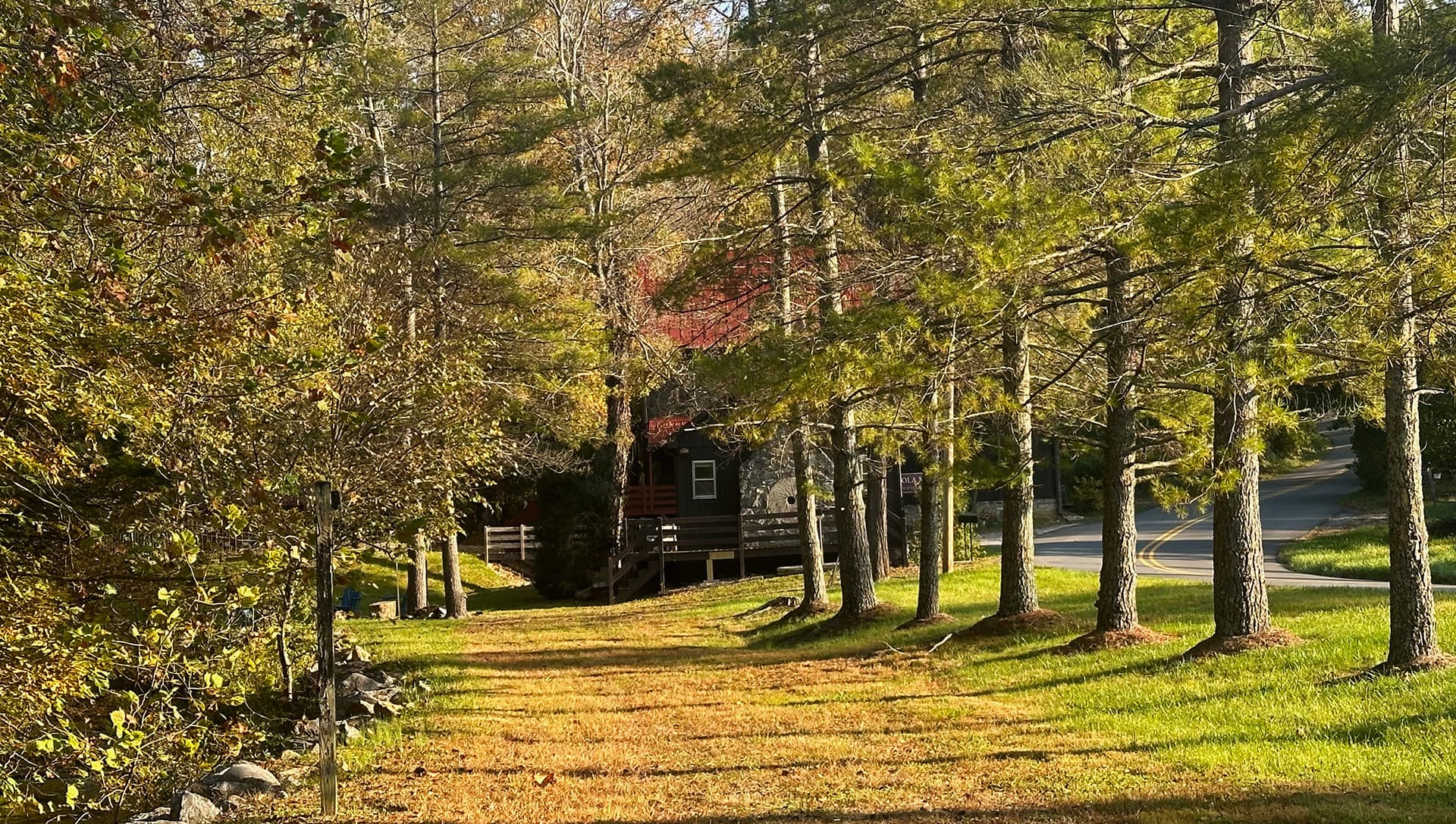 A serene pathway lined with trees leads to a rustic cabin.