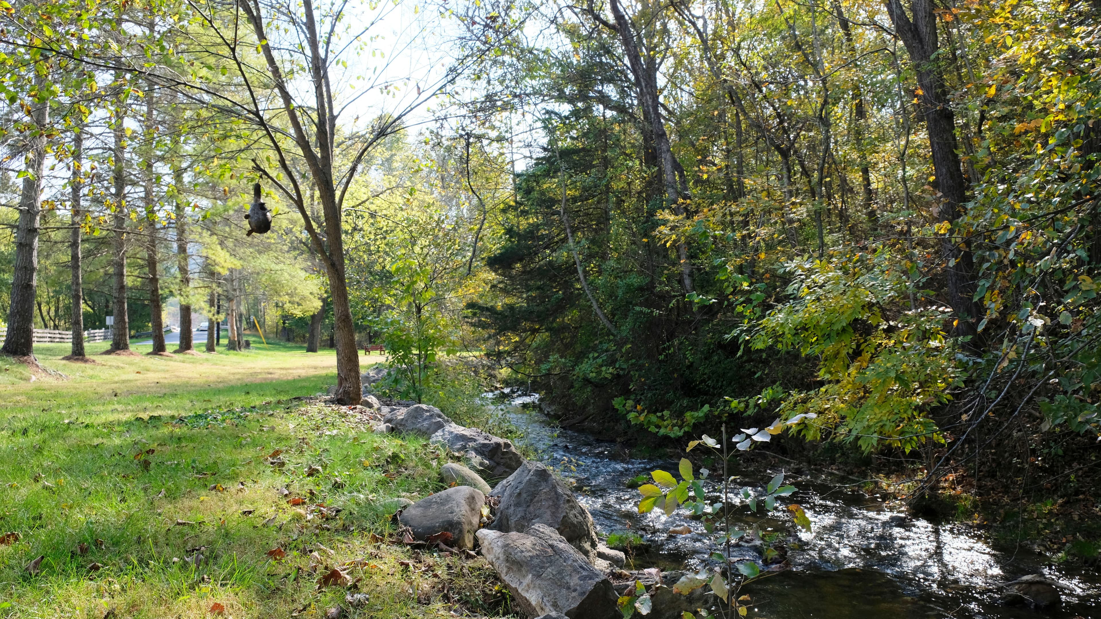 Marl Creek on property leading to a large grassy field for lawn games
