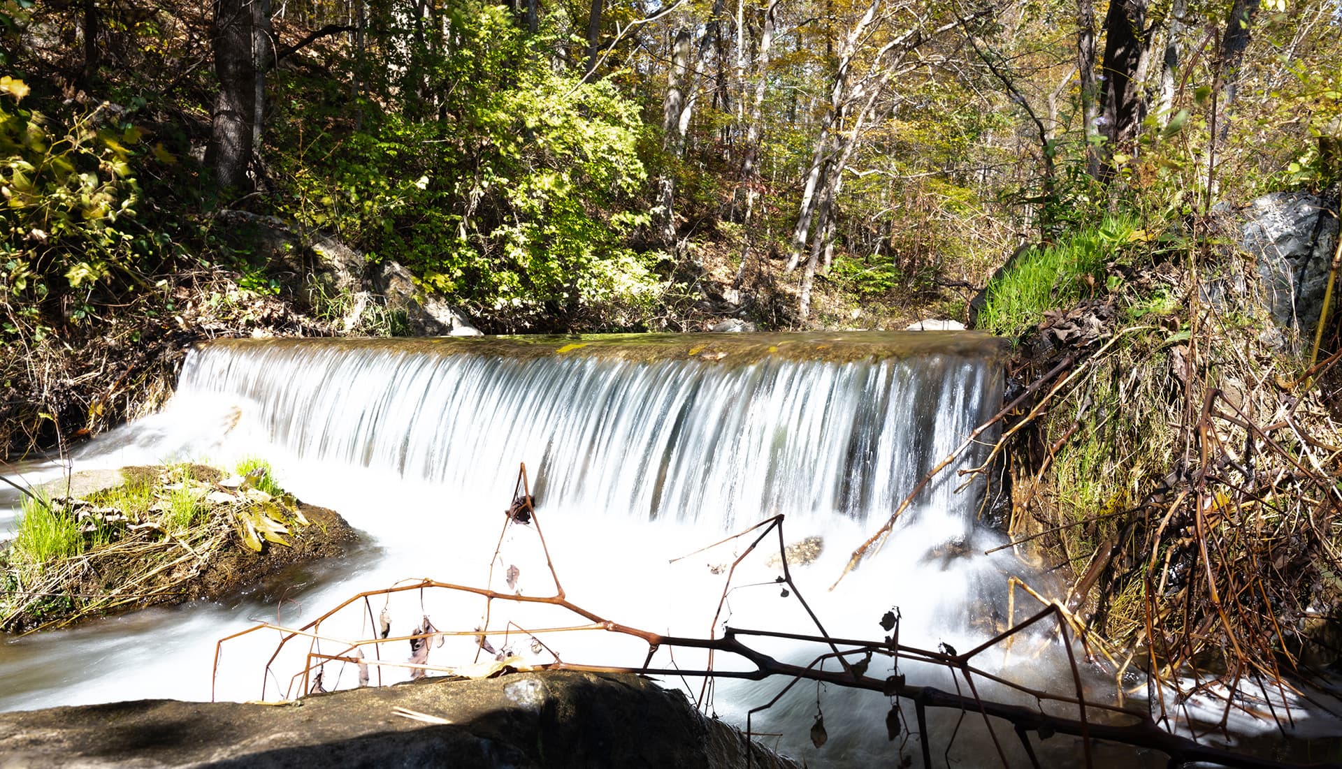 A serene waterfall cascades over rocks surrounded by lush greenery in a tranquil forest setting.