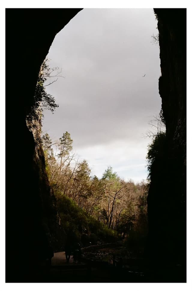 Natural Bridge